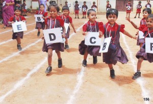 Vidya Vikasini Nursery School Sports Day 2014