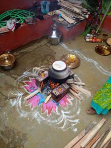 Tamil-Pongal-Traditions VIDYA-VIKASINI-INSTITUTIONS Opportunityschool