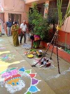 VIDYA-VIKASINI-INSTITUTIONS Opportunityschool Thai-Pongal-Festival